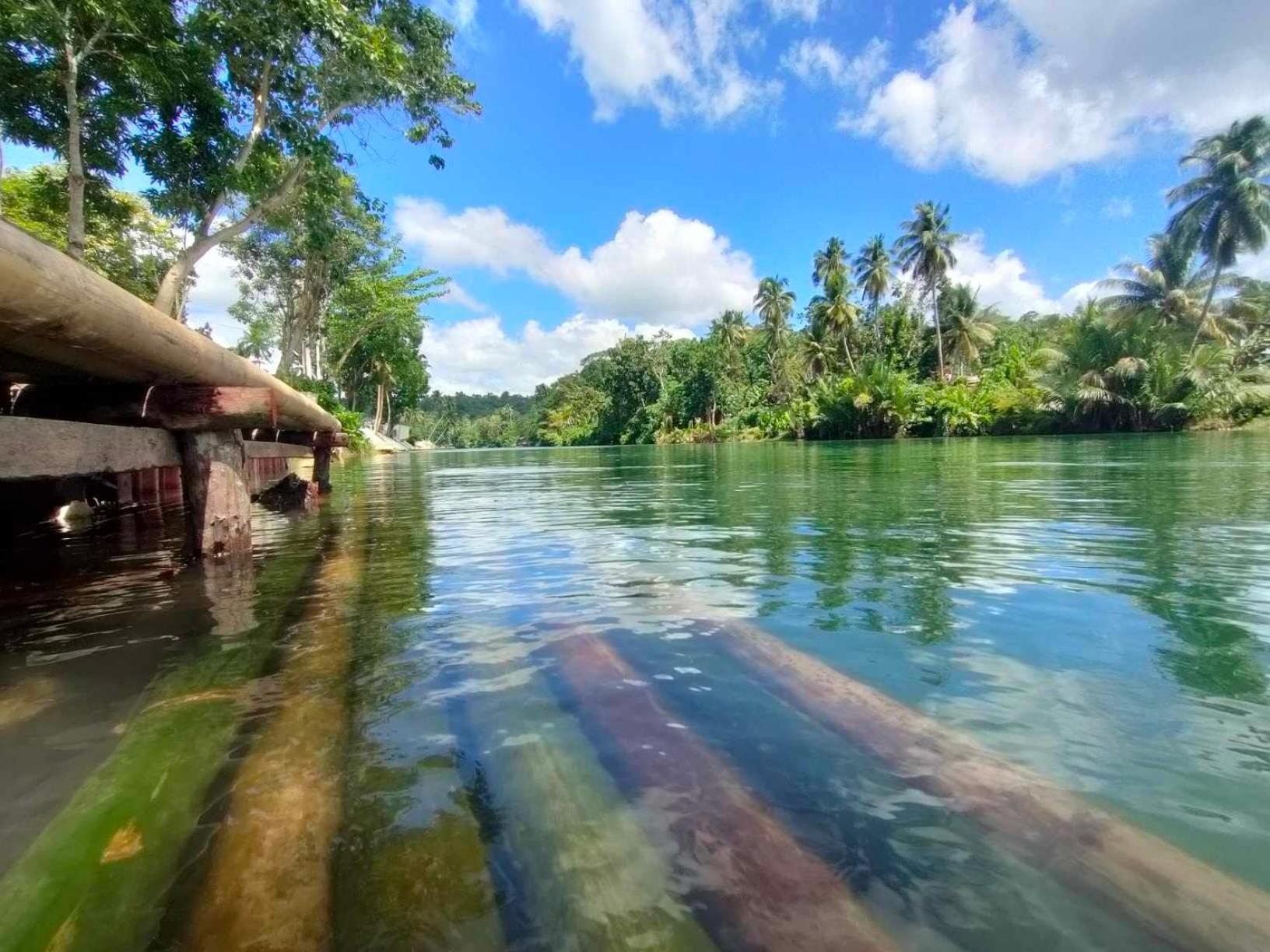 Gbu Loboc River Guesthouse Eksteriør billede
